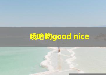 哦哈哟good nice